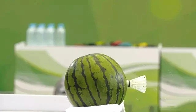 球类运动最高时速493公里,球类运动里瞬时速度最快的