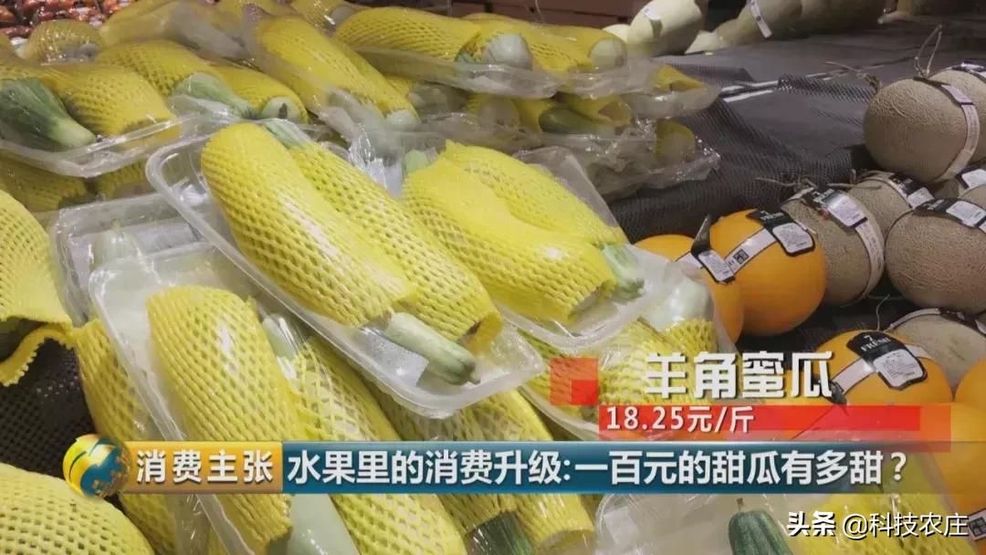 甜瓜最好卖的有哪些品种,菠萝猕猴桃芒果甜瓜什么最贵