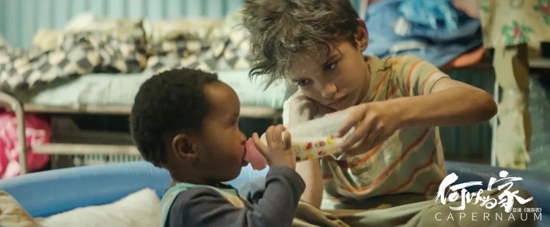 娜丁拉巴基戛纳电影节 (娜丁拉巴基在电影里演谁)