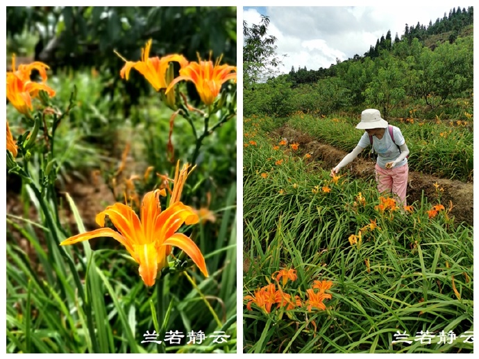 福建永泰云顶山风景图片,福州永泰云顶风景如画成避暑胜地