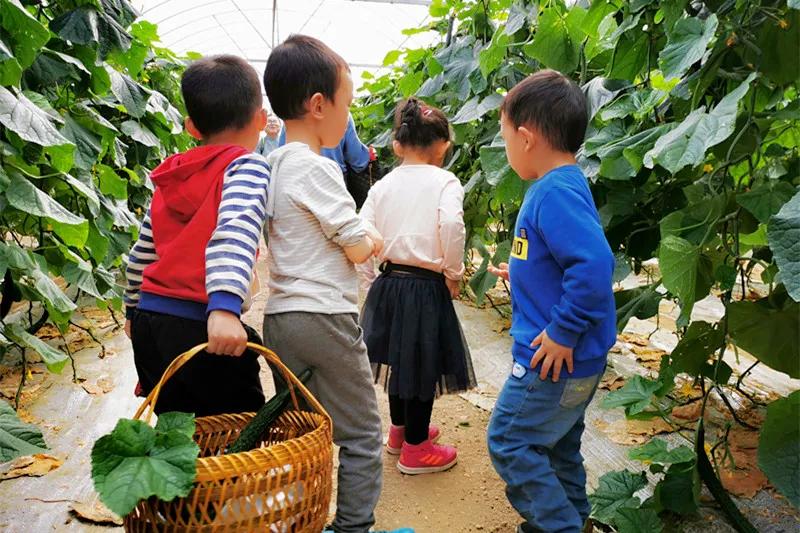 长沙周边旅游自由行攻略一日游,长沙周边景点一日游旅游团