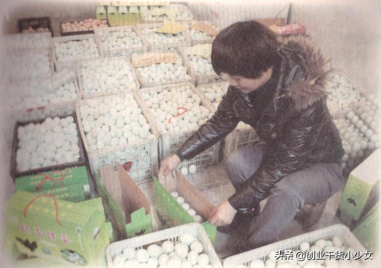 绿壳蛋鸡跟普通鸡蛋有什么价值,富硒绿壳鸡蛋放养养殖基地