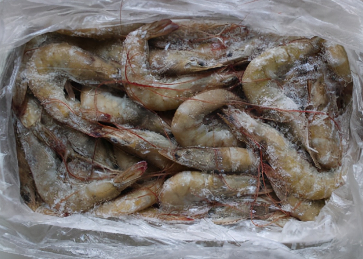 冰鲜虾和活虾的区别,买冰鲜虾应该怎么挑选