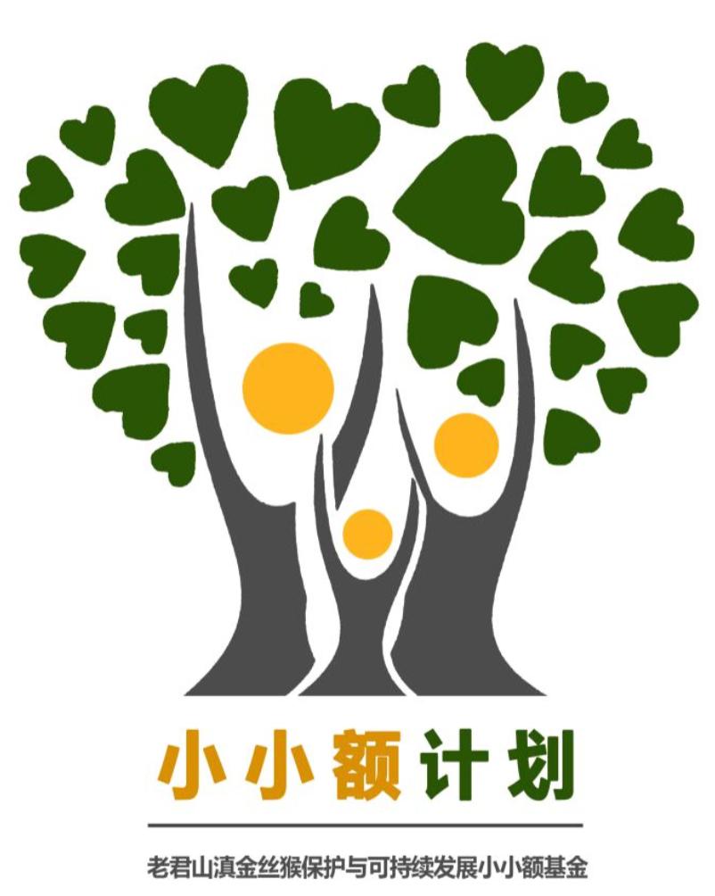 如何在村里建立一个公益基金,集体出资农户认养村庄美化新模式