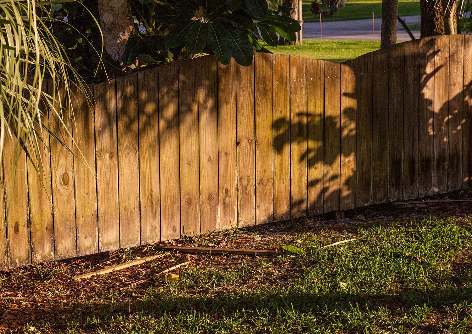 学会看懂阅读,学会看影像