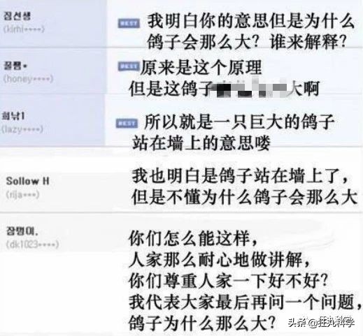 鸽子为什么这么大？懂数学的给出了答案
