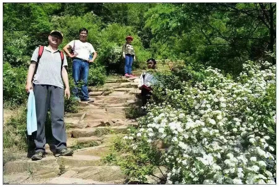 南太行著名天梯盘点，你走过几个
