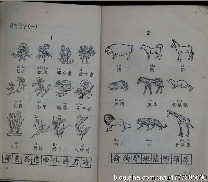 五年制小学语文课本80后回忆,80后一代人的上学生活回忆