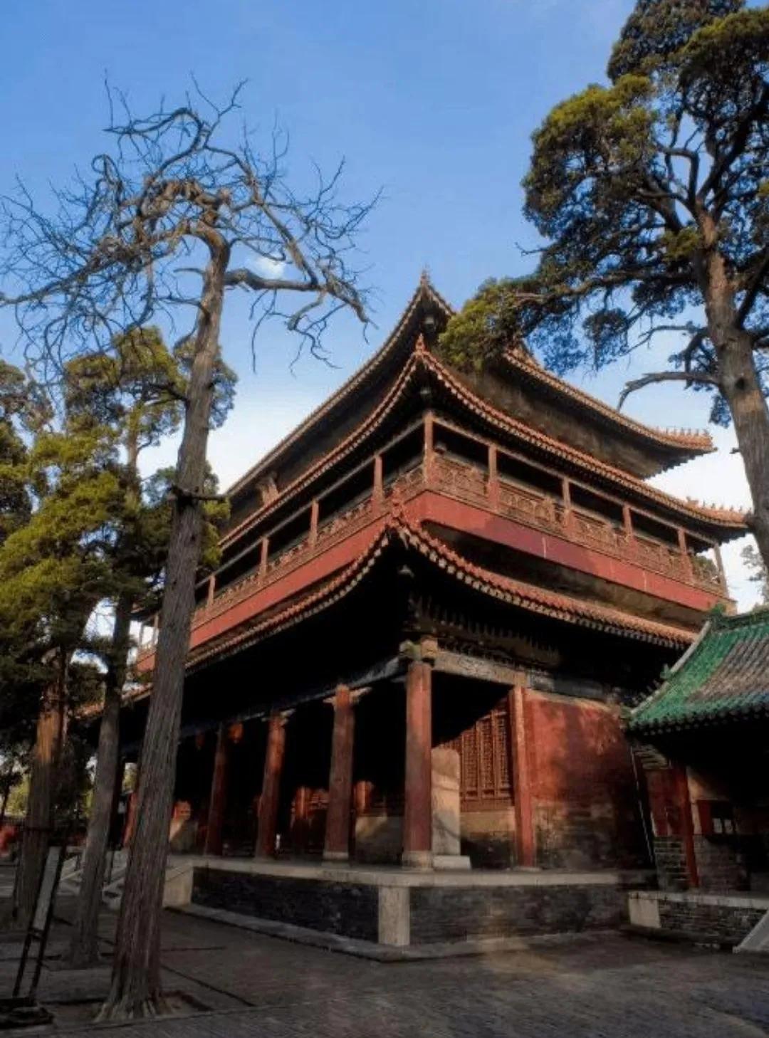 一个奶妈救死扶伤,一个奶妈救了一个小八路