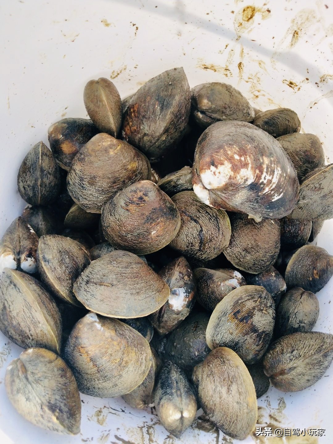 惠州最美礁石海滩,惠州最干净的沙滩推荐