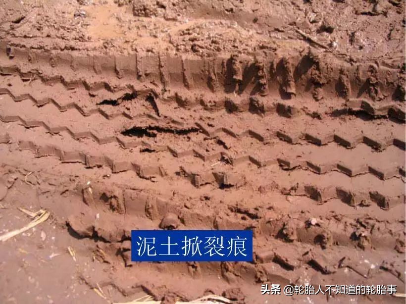 轮胎破损安全评估,轮胎区观察记录与分析