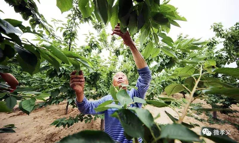 下好先手棋打好主动仗图片,下好先手棋打好主动仗