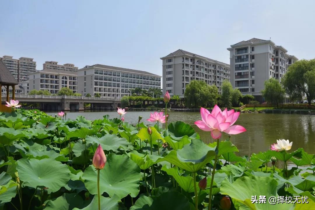 浙江越秀外国语学院提前招,择校无忧余姚校区