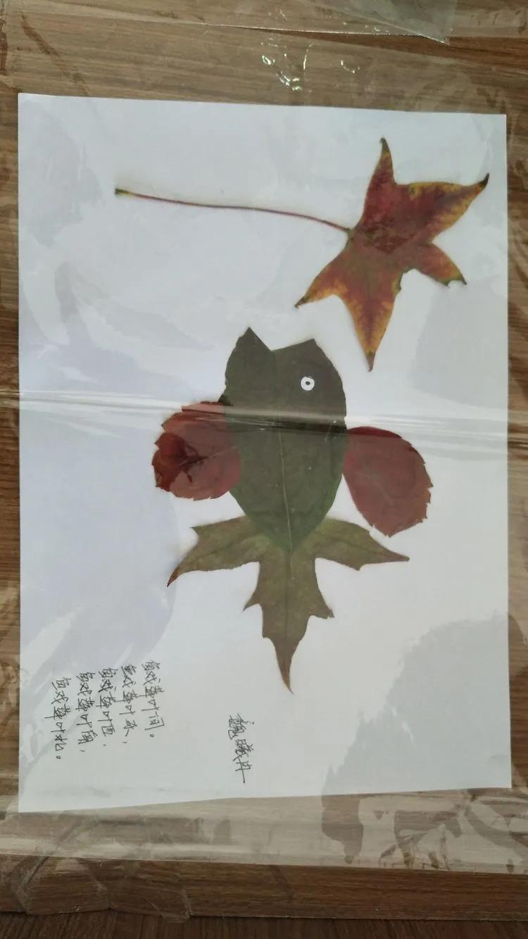 育才中学美丽校园,阜新市育才中学照片