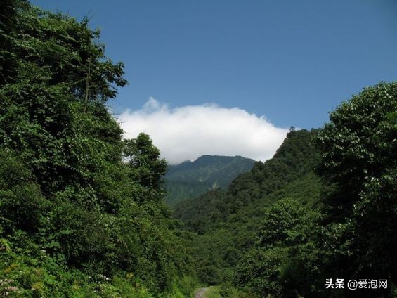 四川黑竹沟峡谷,中国最神秘的山谷