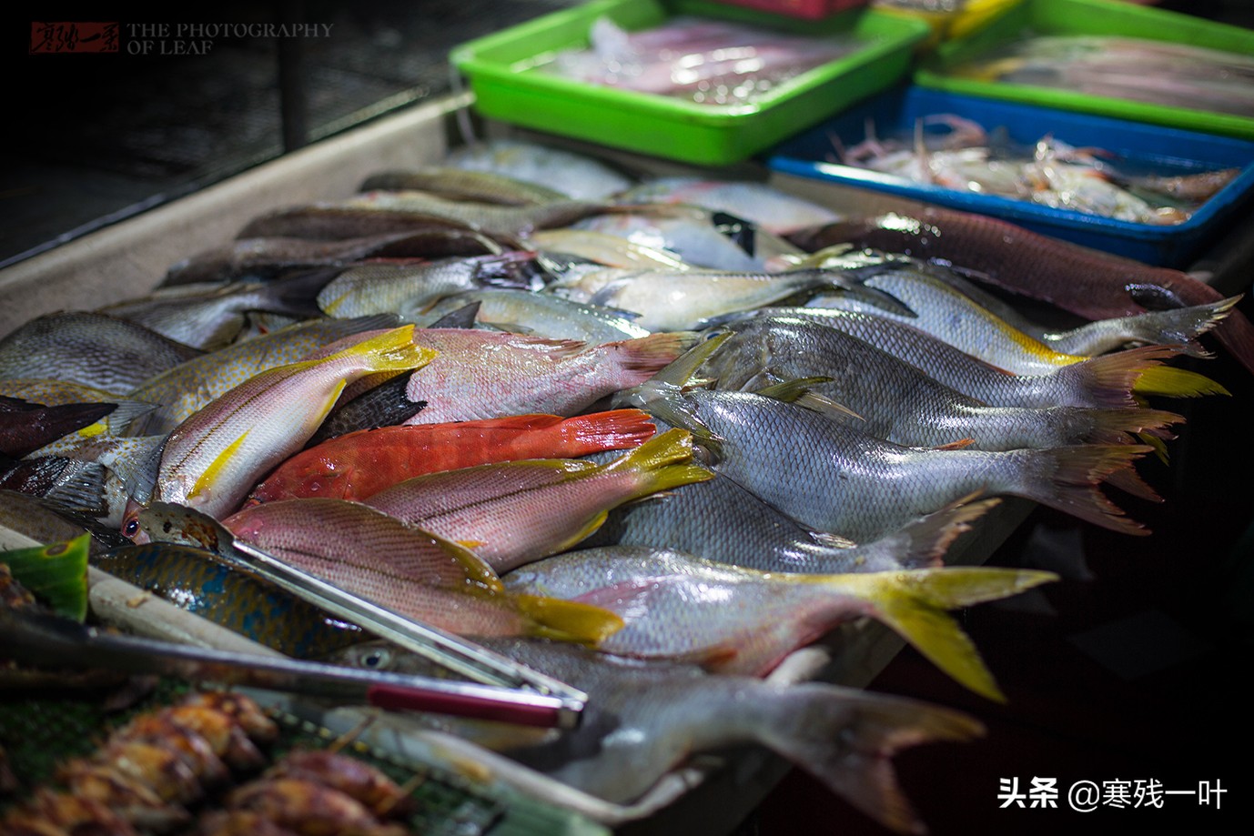 沙巴亚庇海鲜夜市,去马来西亚哪里海鲜最便宜