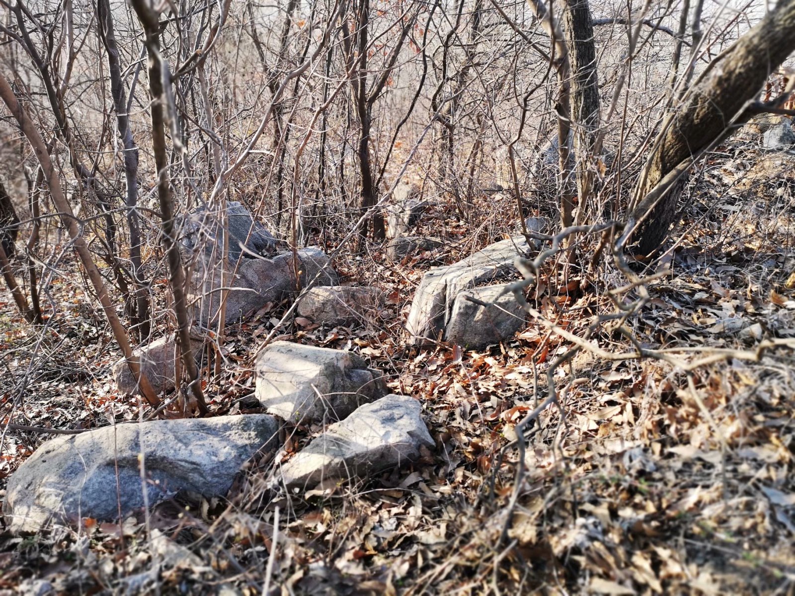 摩托周边旮旯游——探访蚌埠李楼鲁山寺遗址（上）
