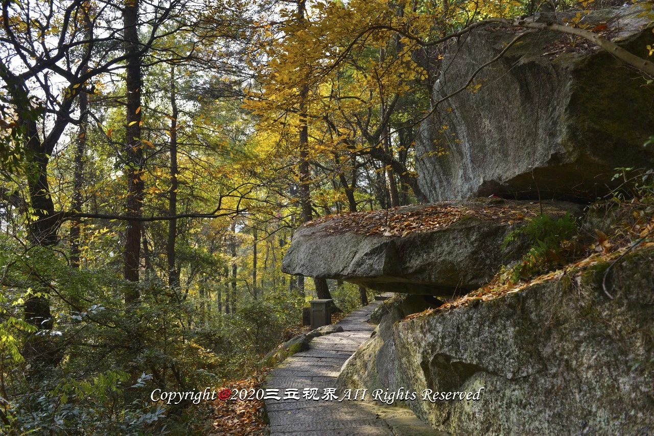 南岳衡山上面那个寺庙是真寺庙吗,南岳衡山各寺庙介绍