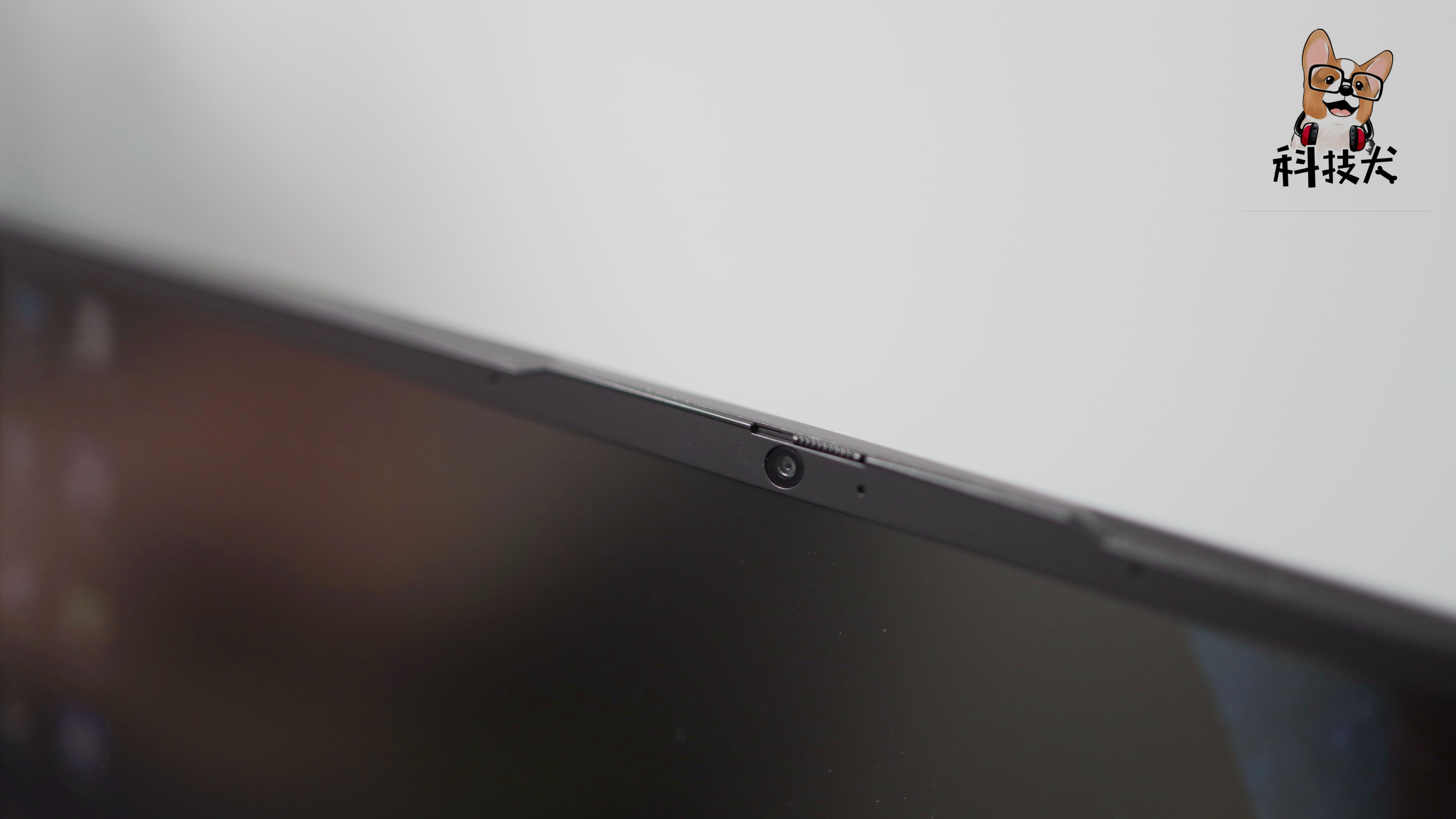 柯基狗幼犬多少钱一只,柯基犬最值得买的耳机