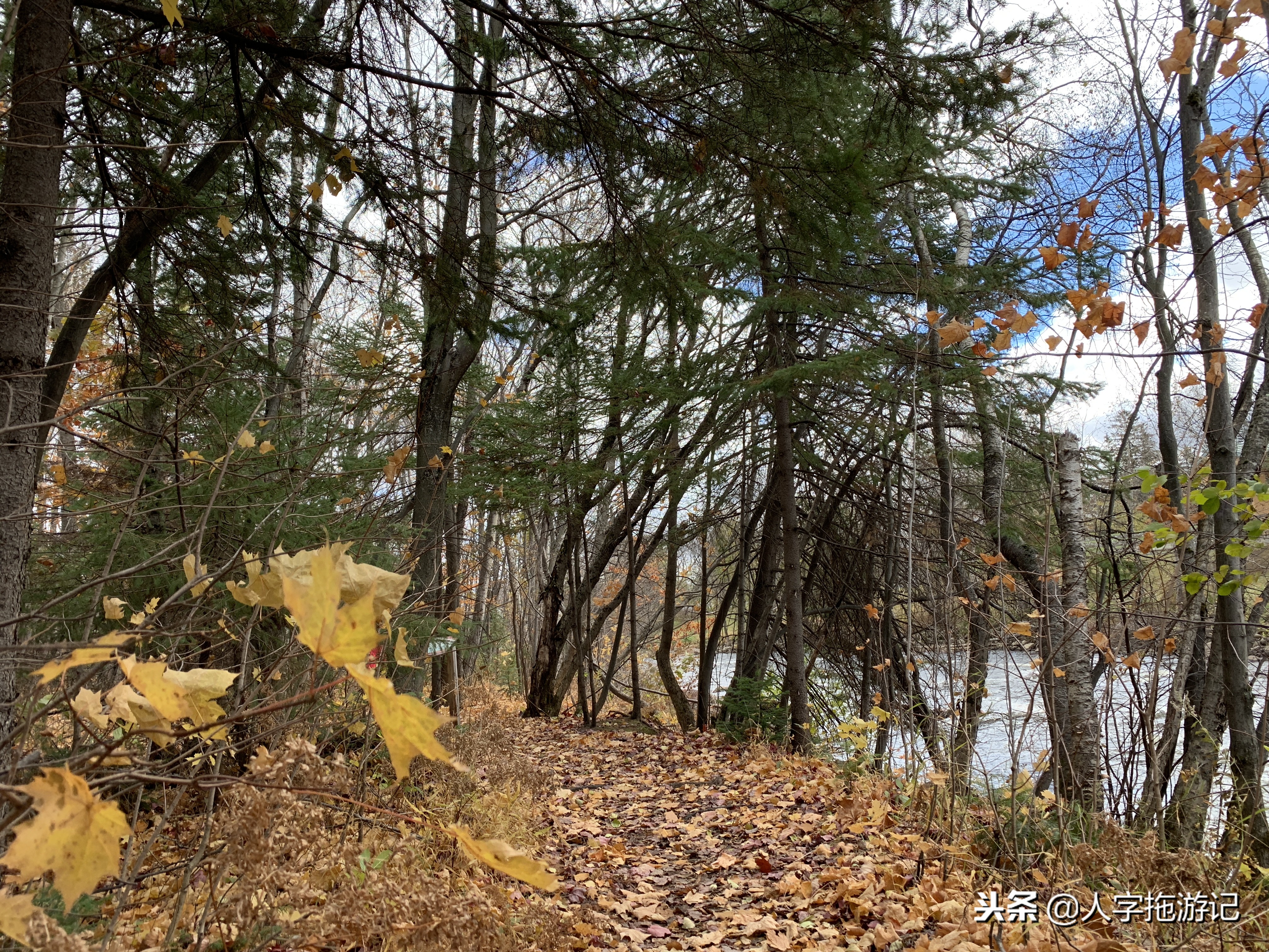 冬日极客,加拿大Wendake穿着狼爪去狼族