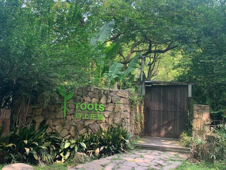 龙井村九溪十八涧徒步最佳路线图,九溪十八涧只有龙井村一个出口吗