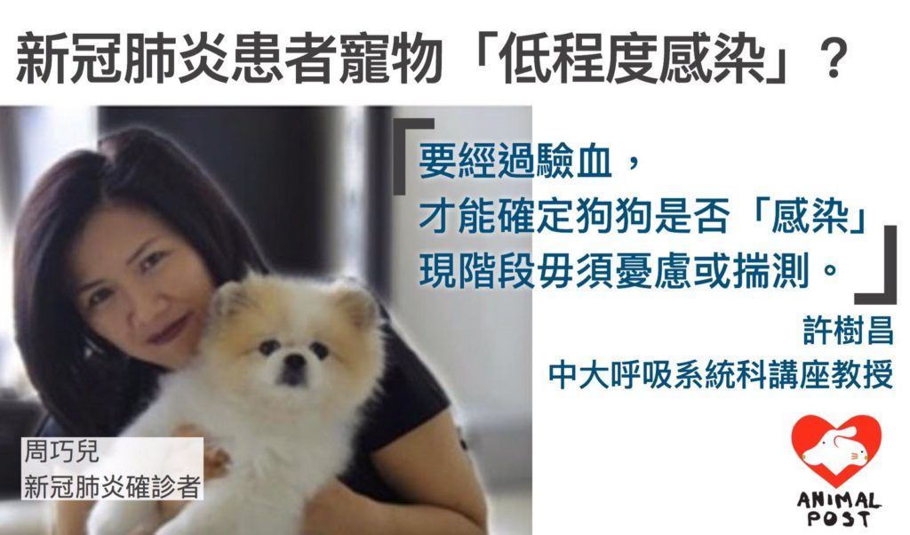 新冠igg检测结果均为阴性igm阳性,新冠血清抗体检测弱阳性