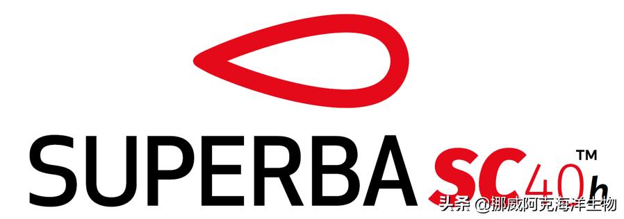 挪威进口南极阿蒙森磷虾油,磷虾油品牌挪威