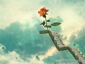 心理研究:开发右脑,完全可以改善抑郁加强迫造成的高自杀风险!