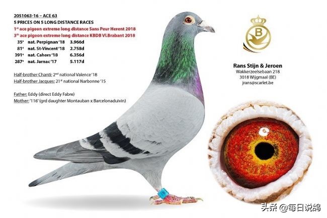 96年巴塞罗那比赛录像,2011年巴塞罗那五冠王