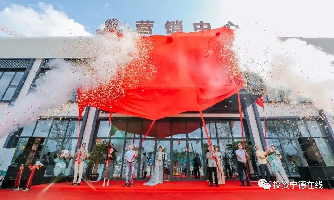 福鼎华熙元二期项目,福鼎华熙元土地拍卖