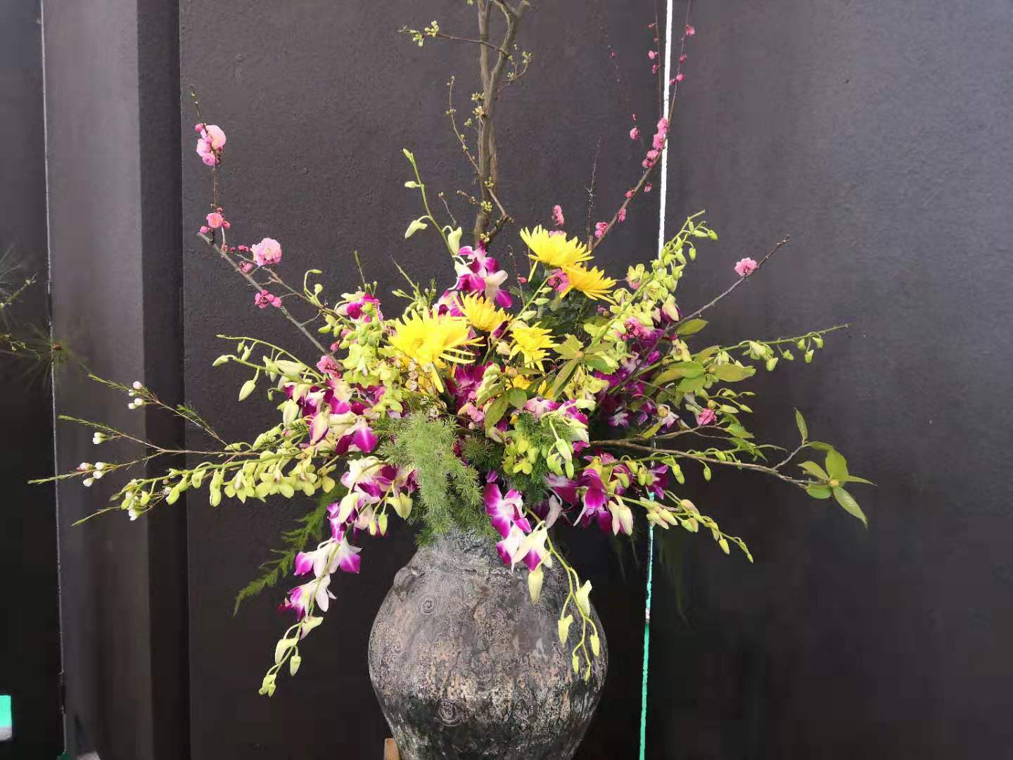 兰花翻盆必须分苗吗,养兰高手传授真正兰花生长环境