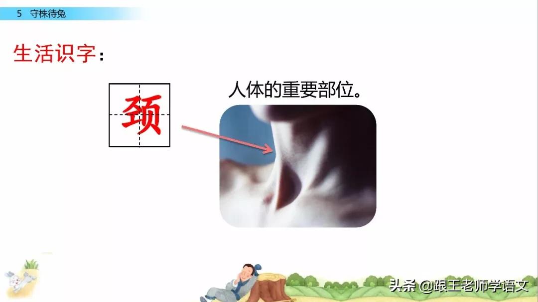 三年级下册语文守株待兔节奏划分,部编版三年级下语文预习守株待兔