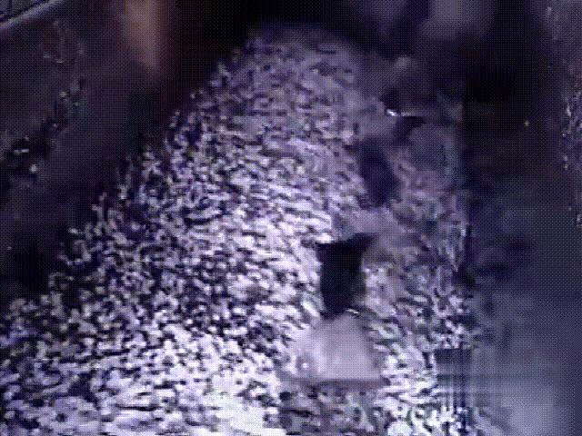 12套经典模具结构图,100个经典模具结构图解