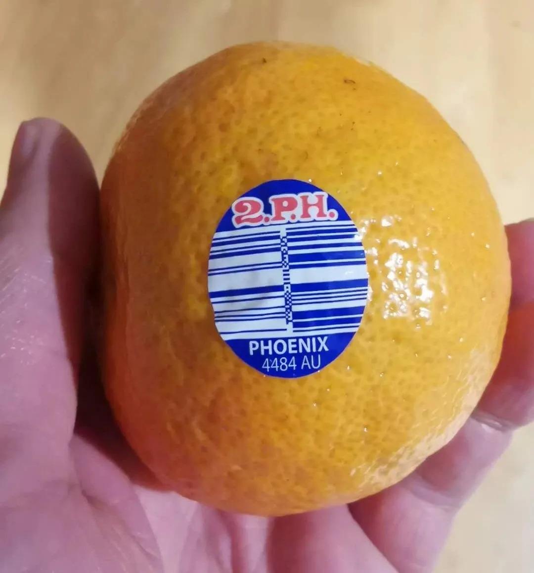 澳洲橘子7元,澳洲红桔子