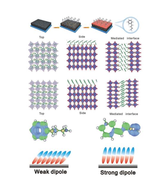 西交大科研成果有哪些,西安交大最新科技成果