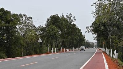 鄱湖之滨鱼米之乡,江西鄱阳湖