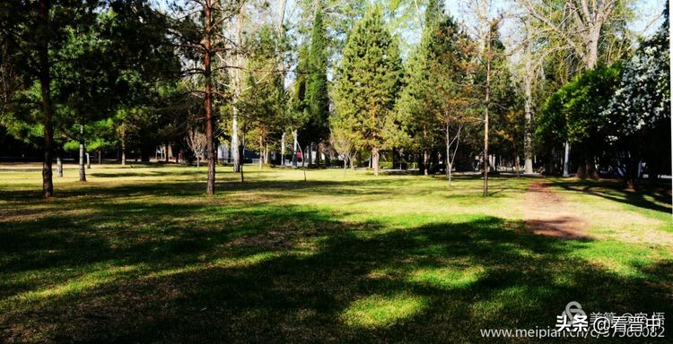 山西农大美丽的校园,山西农大校园风光