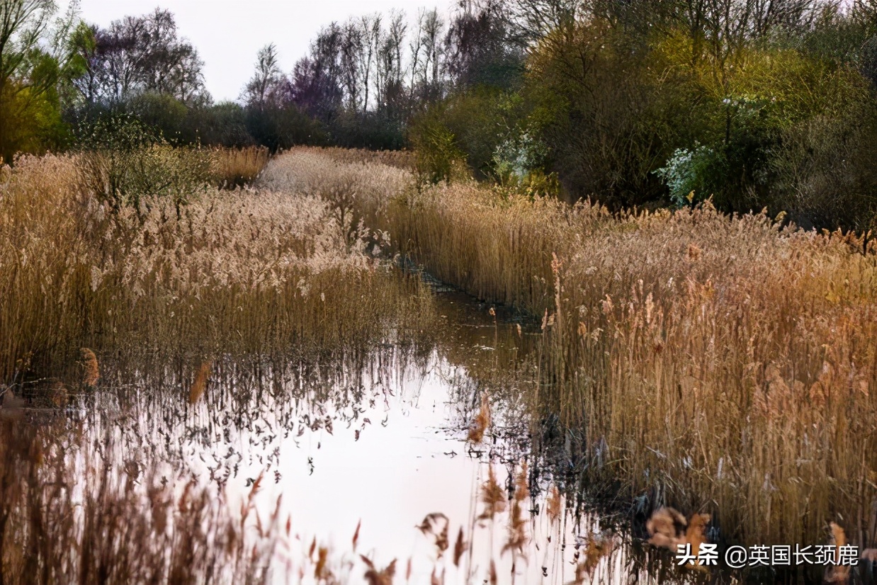 英国秋天好去处,英国秋天旅游必去的地方