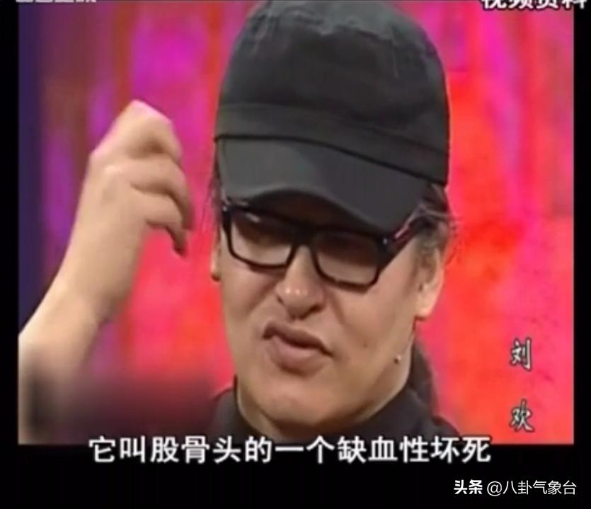 刘欢和戴志诚的视频,刘欢戴志诚完整版