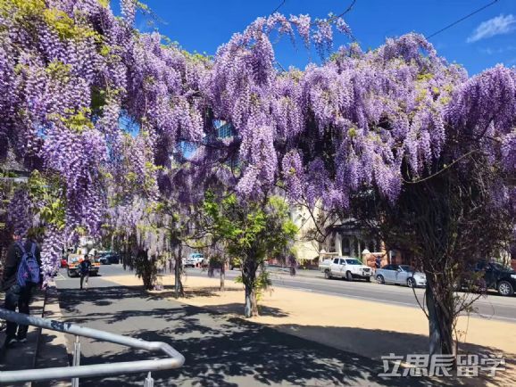 澳洲墨尔本大学图片,墨尔本大学澳洲排名
