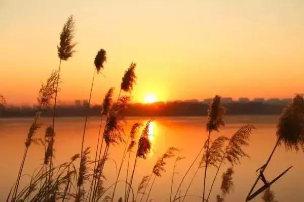 散文岁月之河涛声依旧,散文岁月