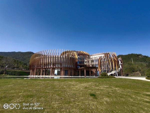 vivox27手机怎么样好用吗,vivox27和vivox60哪个好