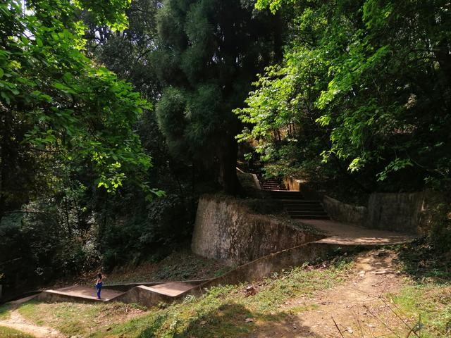 徐霞客游记完整视频,徐霞客游黄山后记全文