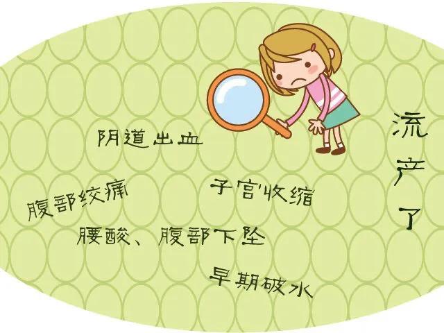 专题科普:怀孕那些事(二)