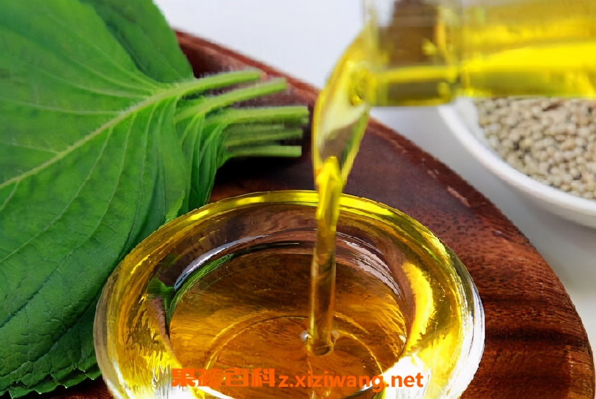 婴幼儿脑发育的八种营养,儿童生长发育补dha