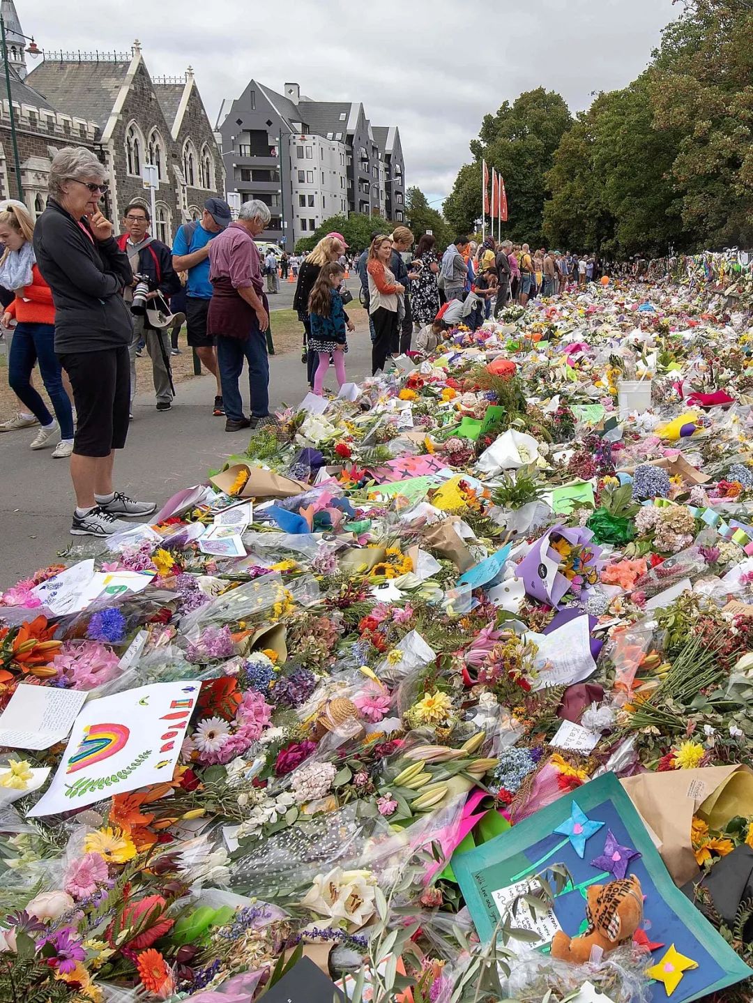 新西兰为什么那么发达,新西兰为什么这么牛