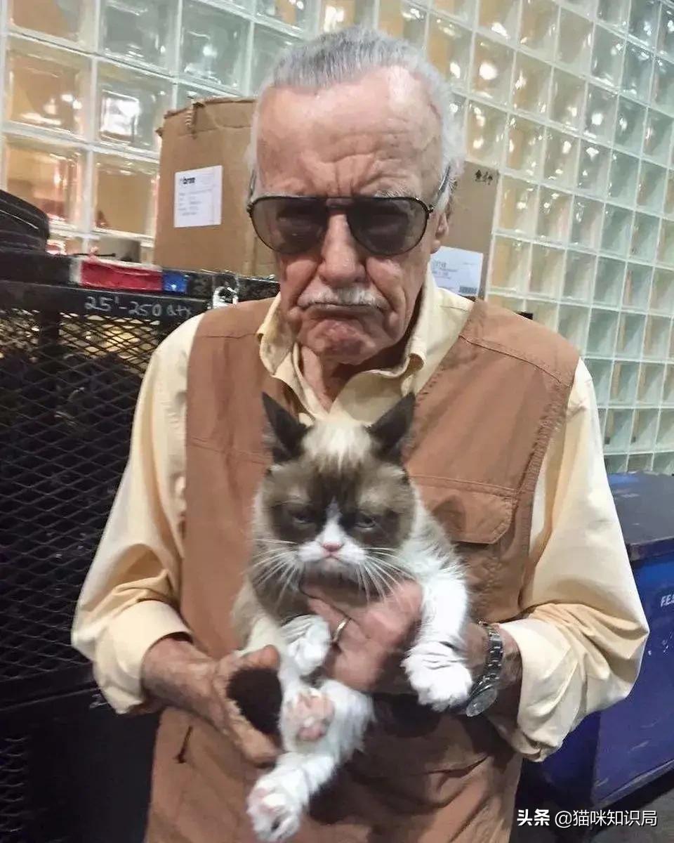 转发给爸妈：养猫到底有啥好？能治病