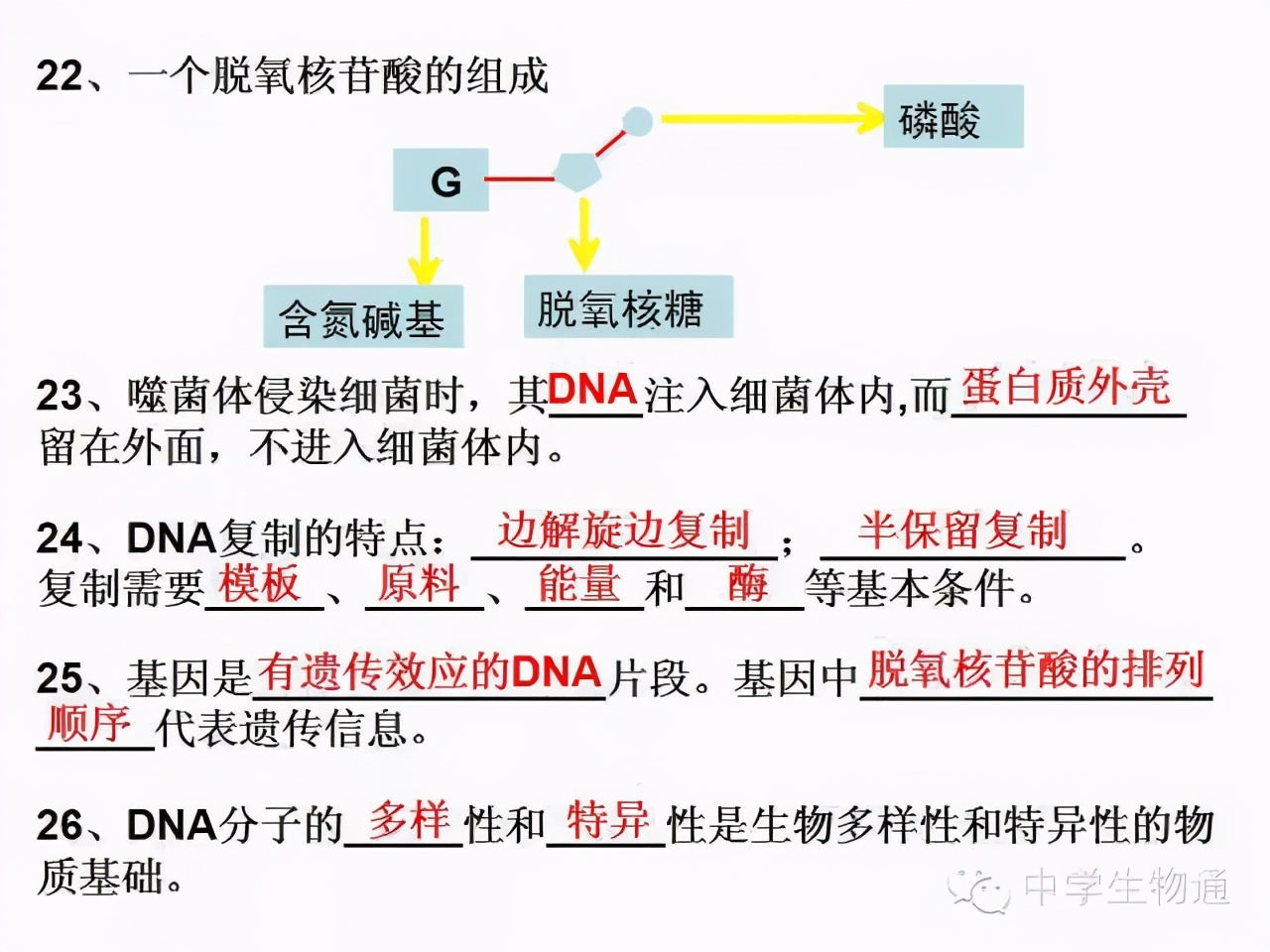 高中生物复习资料必修一,高中生物复习资料大全2019