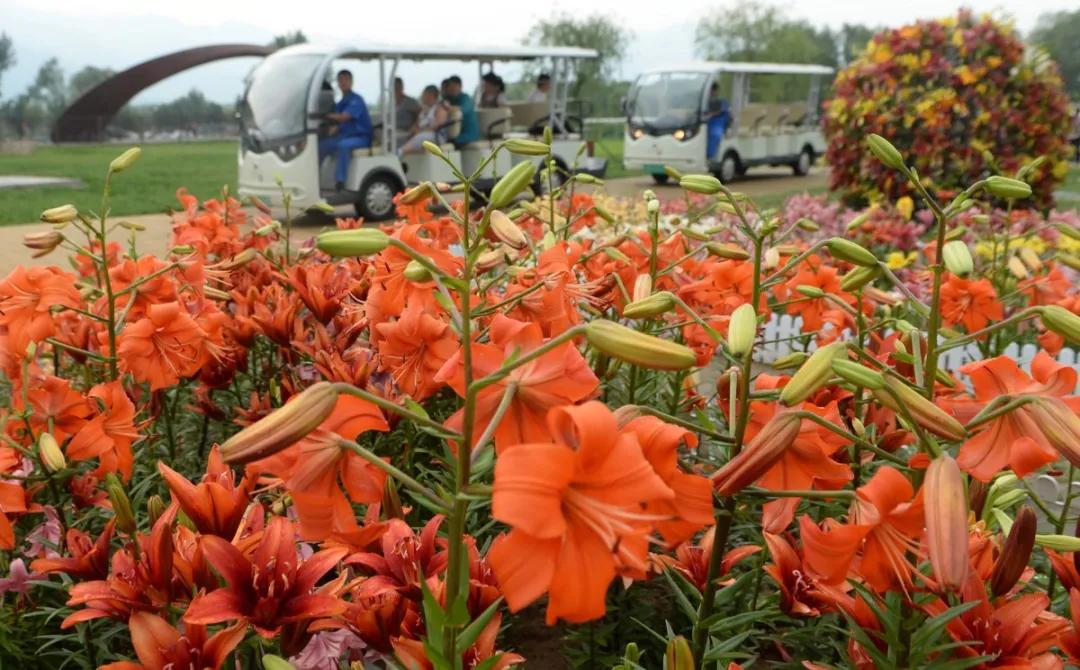 出行安全宝典,北京旅游安全攻略