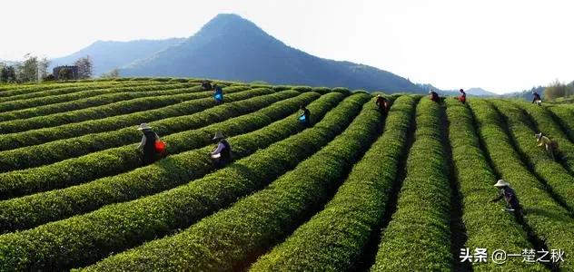 修水山水城,关于江西万载古城的优美诗句